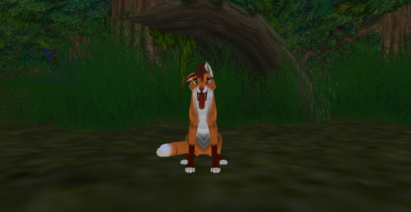13_1423053514.png